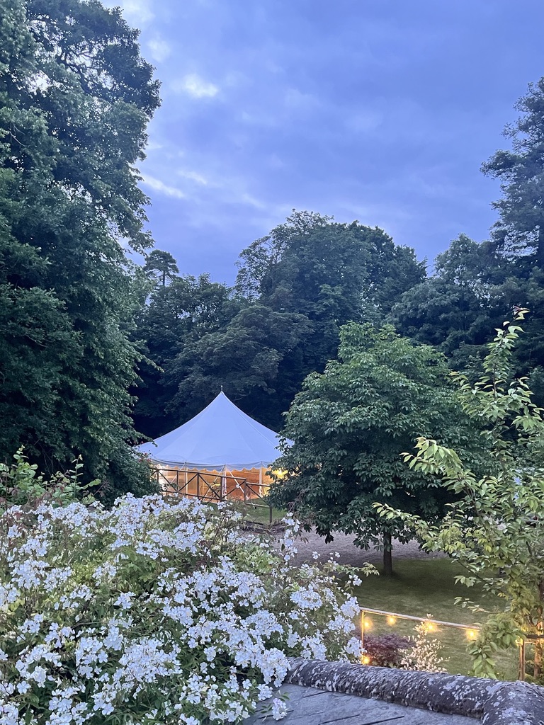 Sailcloth marquee glowing softly at dusk beyond a rambling white rose